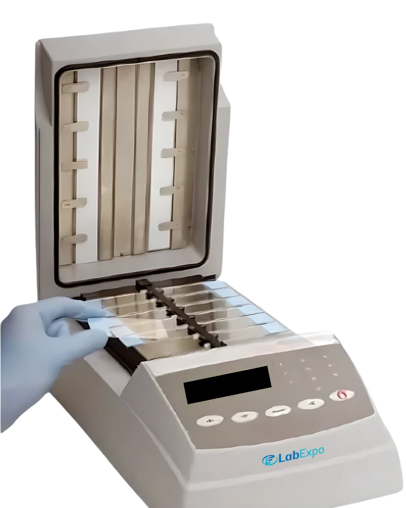 A Distinct Insight of FISH Hybridizer