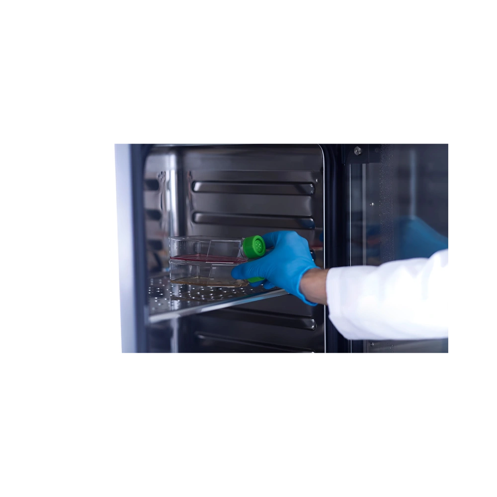 Why CO2 Stability Is Critical for Cell Culture Success