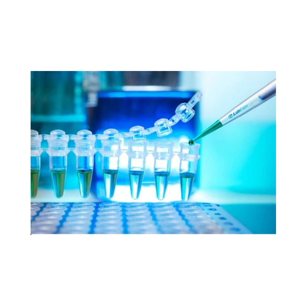 Advances in Real-Time PCR for Modern Molecular Biology