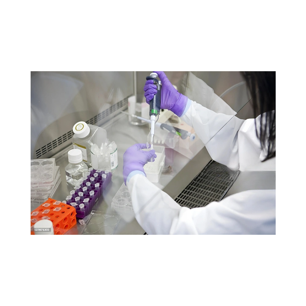 Factors Influencing Laboratory Fume Hood Performance: A Comprehensive Review